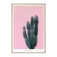 Cactus decorative Painting