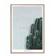 Cactus decorative Painting
