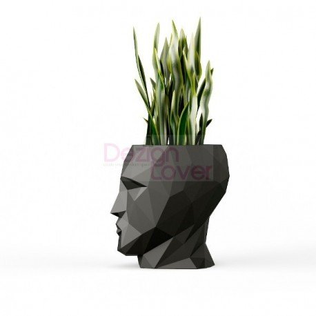 Adan Flower Pot