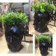 Adan Flower Pot