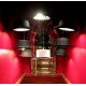 Suspension design Jeeves and Wooster