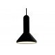 Torch light pendant lamp