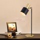 Musa table lamp
