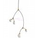 Suspension design Ivy Vertical 4 CTO