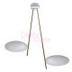 Suspension design Lederam C2