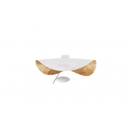 Lederam Manna CWS1 ceiling or wall Lamp