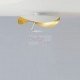 Lederam Manna CWS1 ceiling or wall Lamp
