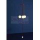 Pistil Pendant Lamp