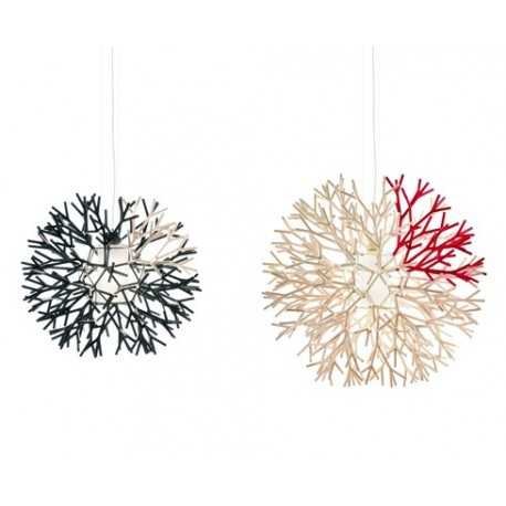 Suspension design Coral