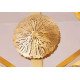 Lily Pad Brass Circular Pendant Lamp