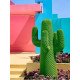 Porte-Manteau Cactus
