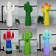 Cactus Coat Rack