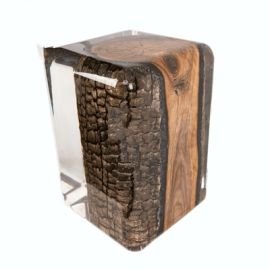 Clear Epoxy Resin Wood Stump Stool
