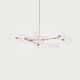 Chandelier design Branching Bubble 5 globes