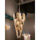 Peacock Cone Chandelier