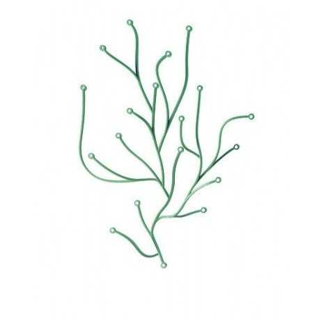 Paravents design Green algue by 50