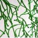 Paravents design Green algue by 50