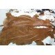 Cowhide Rug - Brown & White