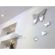 Butterfly clock