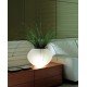 Lampe de table design Biosfera 