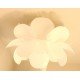 Celling lamp design Infiore
