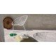 Arper Leaf sled lounge chair