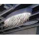 Plafonnier design OLA oval