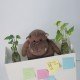 LTO1 Seam one Post it table lamp 
