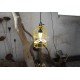 Caged Industrial pendant lamp with plumen bulbs