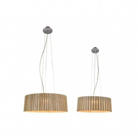 Suspension design Shio 