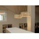 Suspension design Shio 