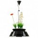 Eden LED pendant lamp