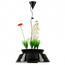 Eden LED pendant lamp