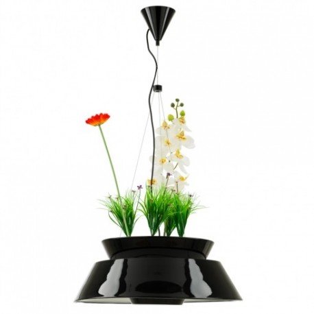 Eden LED pendant lamp