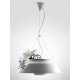 Eden LED pendant lamp