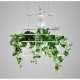 Hanging plant cage pendant lamp