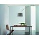 Twiggy ceiling lamp