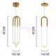 Suspension design Rudi Loop