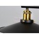 Industrial Iron Pulley double pendant lamp design with Edison bulbs
